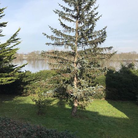 Une Nuit Sur Loire Treves-Cunault Esterno foto