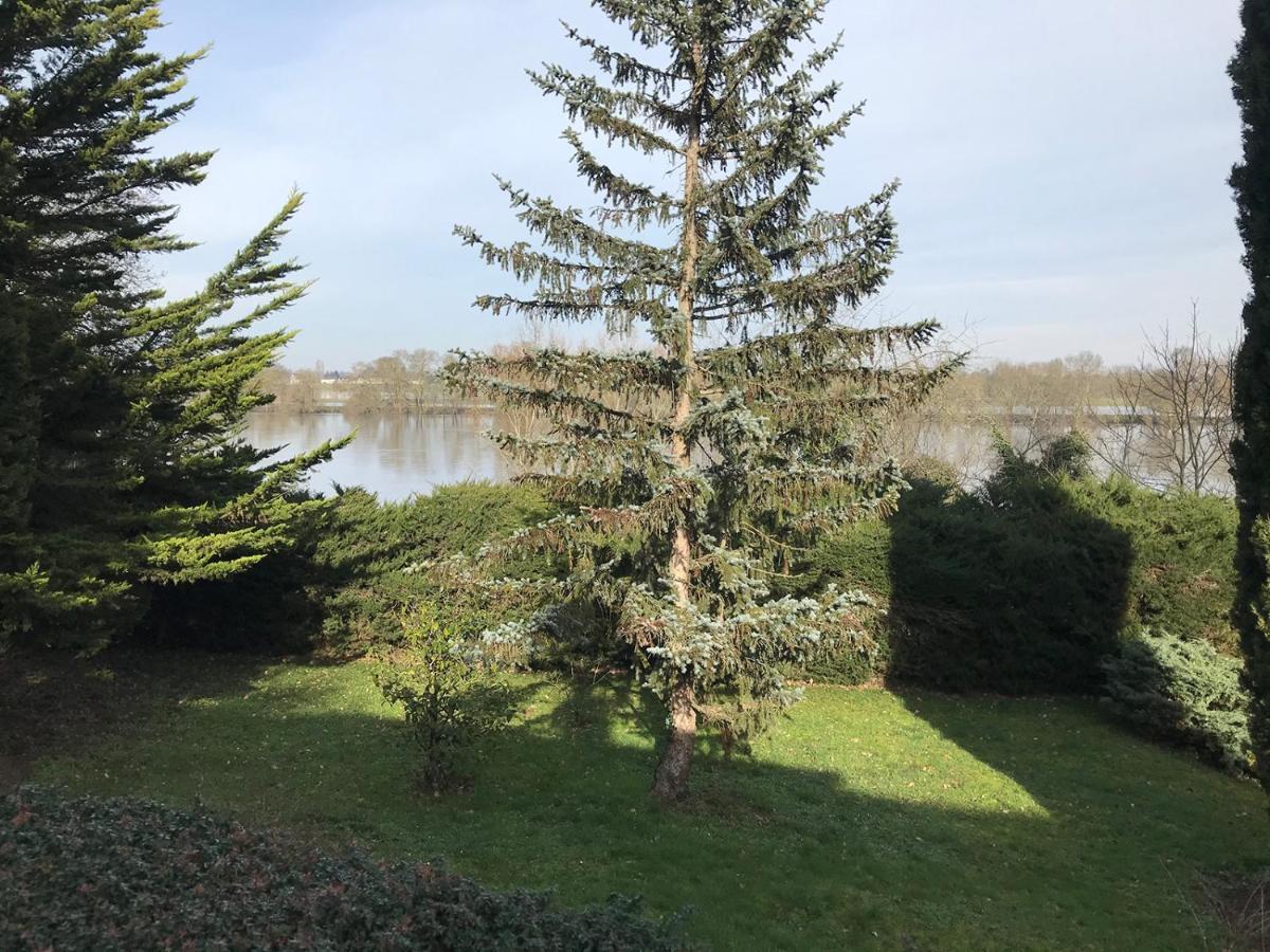 Une Nuit Sur Loire Treves-Cunault Esterno foto